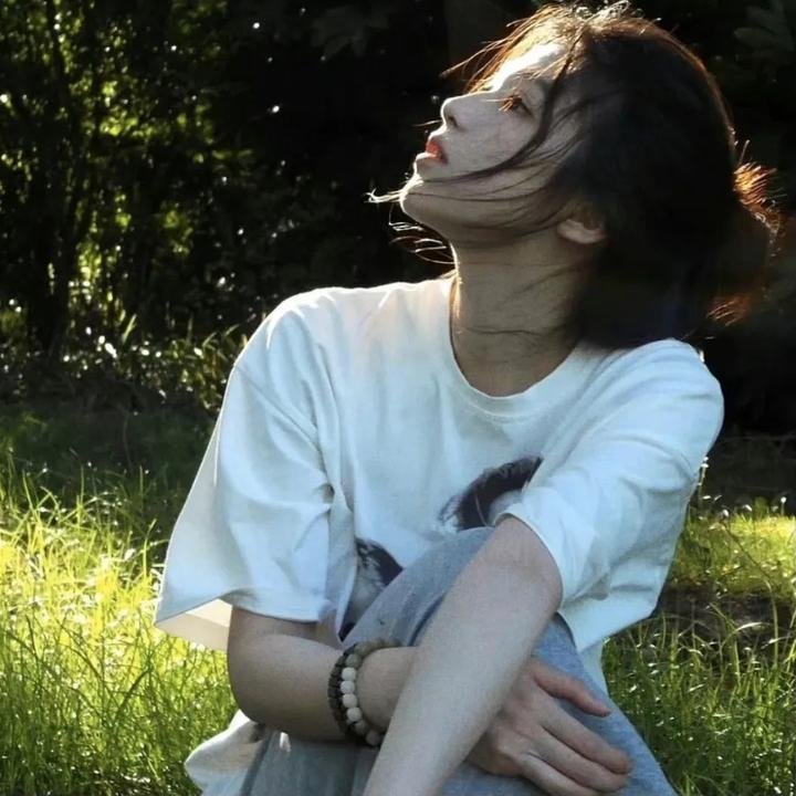 翱翔于天际的夜鹰