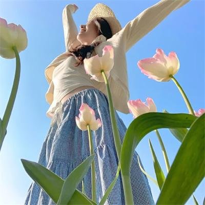 洛克王国3:圣龙的守护